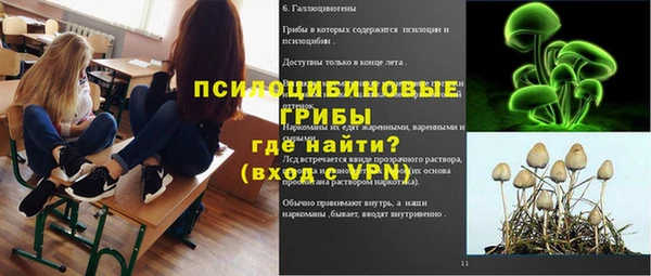 соль ск Алексеевка