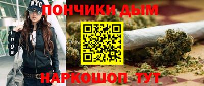 гидропоника Новозыбков