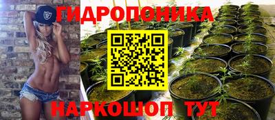 гидропоника Новозыбков