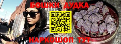 spice Новодвинск