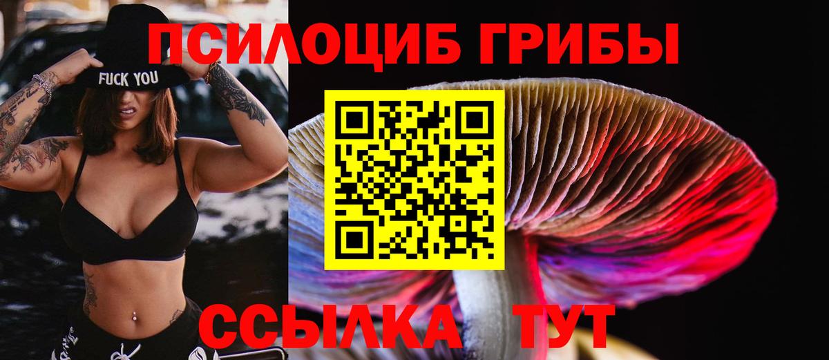 Галлюциногенные грибы Psilocybine cubensis Туймазы