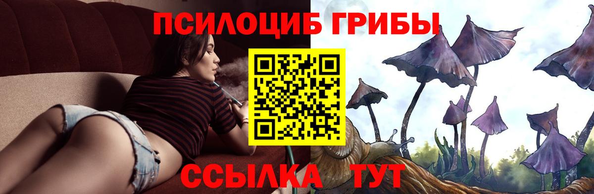 закладка  Псилоцибиновые грибы мухоморы  Вход с VPN  Туймазы 